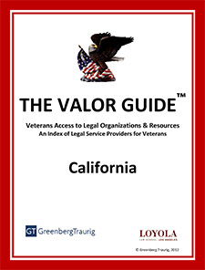 VALOR Guide cover